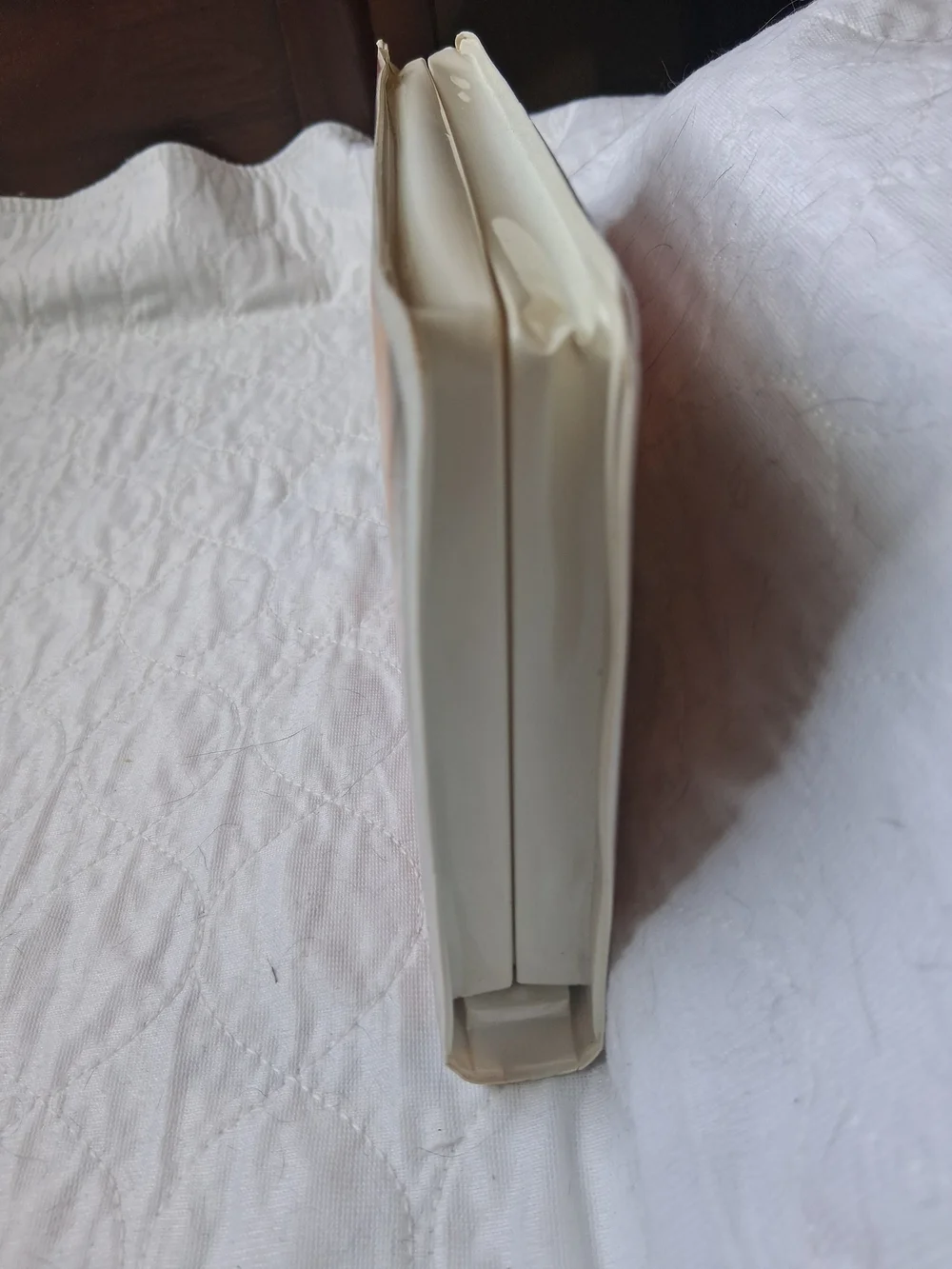 Disney The Lion King II: Simba's Pride VHS